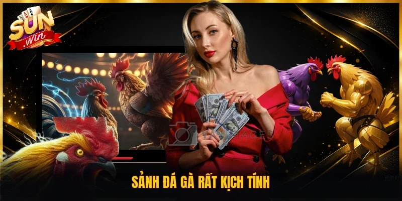 Sunwin saaku.in ⭐️ Tải Sunwin iOS/APK Cổng Game Bài Mới Nhất 2026 23 Sunwin Sảnh đá gà rất kịch tính